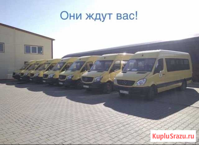 Водитель категории Д Калининград - изображение 1