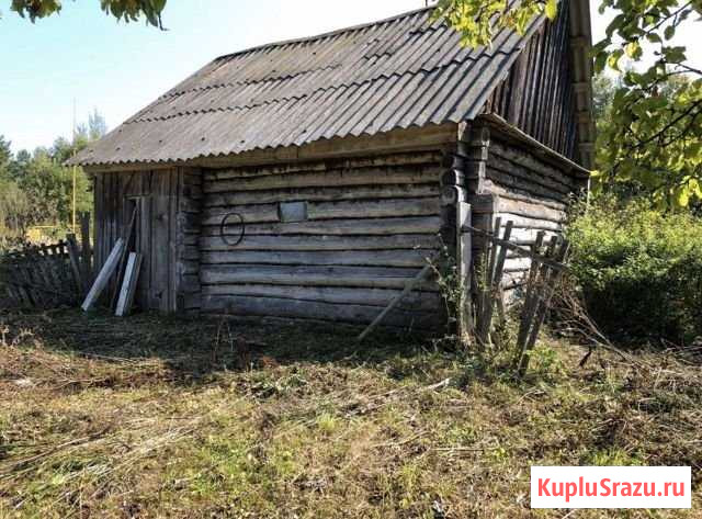  Жиздра - изображение 1