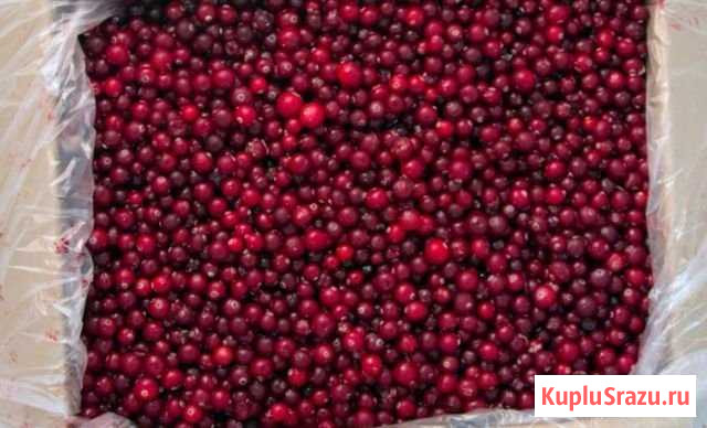 Клюква Ухта - изображение 1