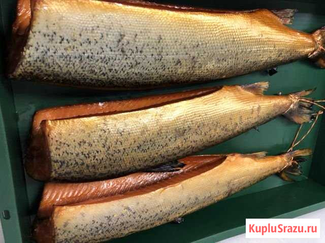 Форель холодного копчения (ольха) Усинск - изображение 1