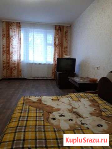 1-к квартира, 40 кв.м., 2/9 эт. Сортавала - изображение 1