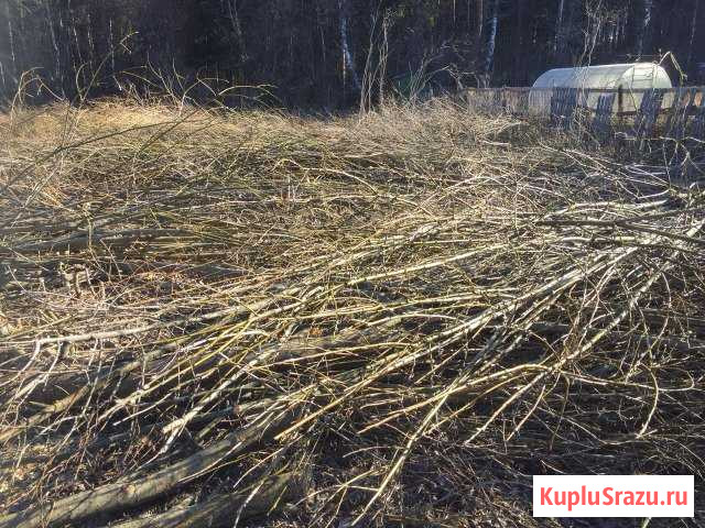 Дача 20 кв.м. на участке 6 сот. Боровичи - изображение 1