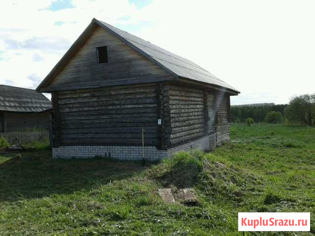  Кумены - изображение 1