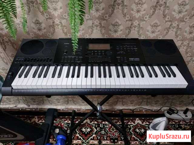 Синтезатор Полярный - изображение 1