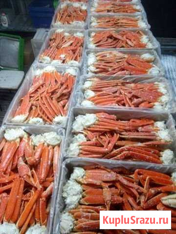 Краб Уссурийск - изображение 1