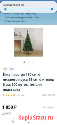 Ель Березники - изображение 1