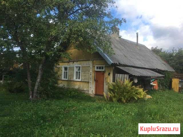 Дом 45.3 кв.м. на участке 54 сот. Палкино - изображение 1