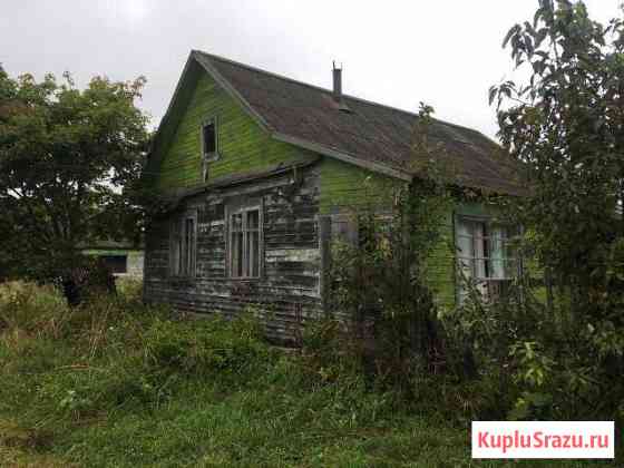  Старица