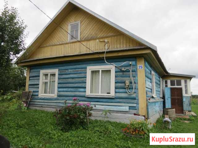 Дом 60 кв.м. на участке 50 сот. Оленино - изображение 1
