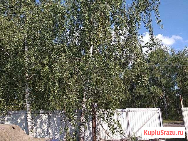  Донской - изображение 1