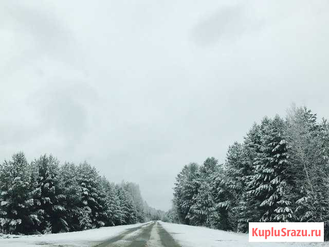 Дом 50 кв.м. на участке 78 сот. Нижняя Тавда - изображение 1