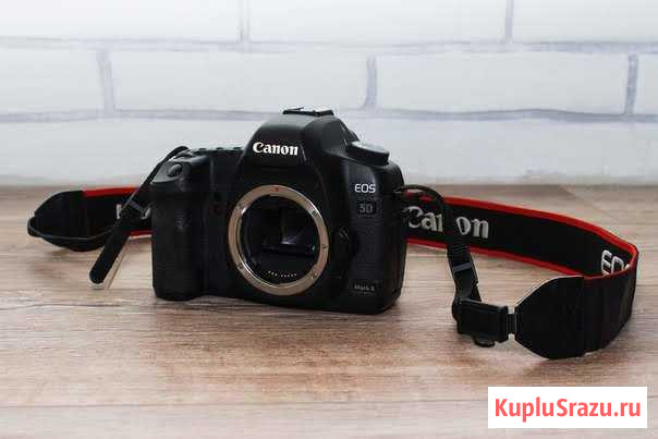 Canon 5D Mark II + Canon EF 50 mm f/1.8 STM Ижевск - изображение 1