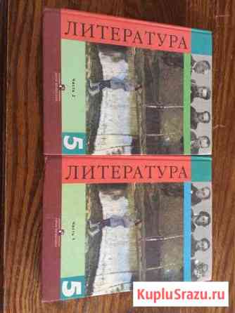 Учебник по литературе Пятигорск