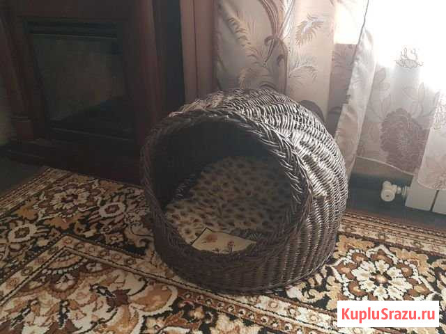 Домик для кошки Краснодар - изображение 1