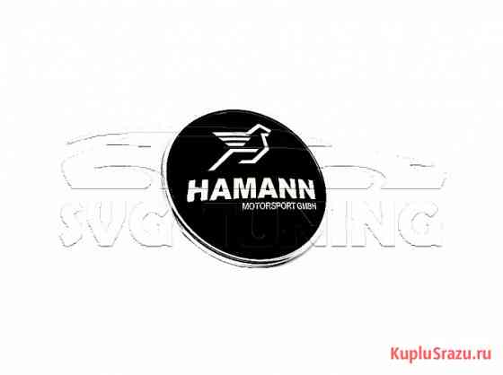 Передний значок Hamann на капот BMW 5 F10 Москва
