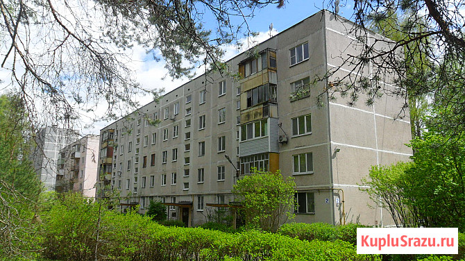 Тихая квартира в сосновом лесу Конаково - изображение 1