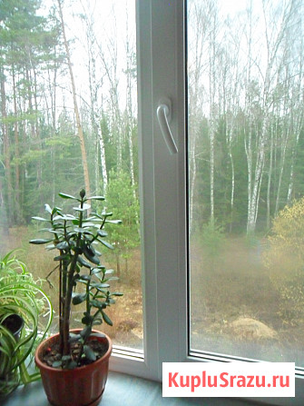 Уютная квартира для семейного загородного отдыха Конаково - изображение 2