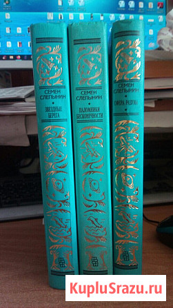 БПНФ Слепынин Семен. Сфера разума. Паломники. Звездные берега Барнаул - изображение 1