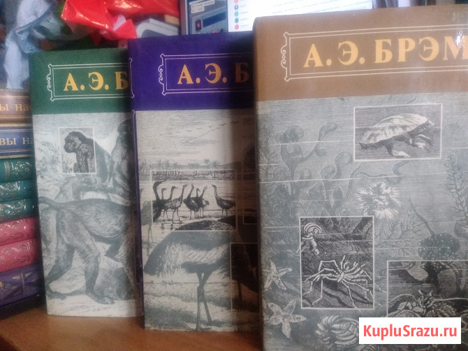 Брэм А. Жизнь животных. В 3т Фабр Ж.А. Инстинкт и нравы насекомых. В2т Барнаул - изображение 2