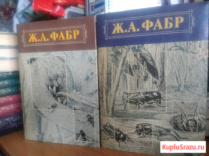 Брэм А. Жизнь животных. В 3т Фабр Ж.А. Инстинкт и нравы насекомых. В2т Барнаул - изображение 3