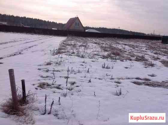  Черноголовка
