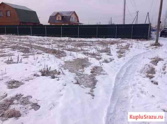  Черноголовка