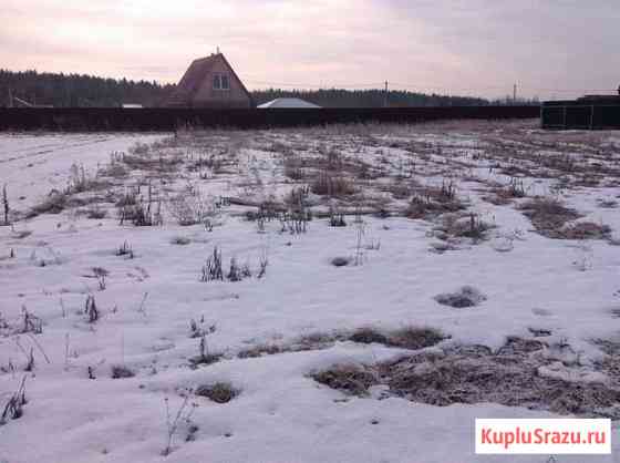 Черноголовка
