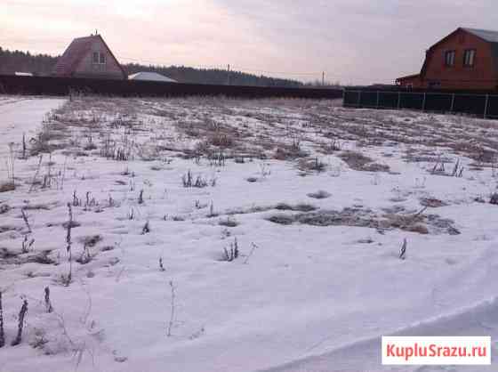  Черноголовка