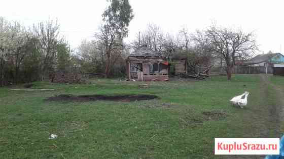 Башмаково