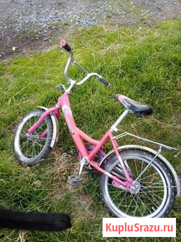 Велосипед Беломорск - изображение 1