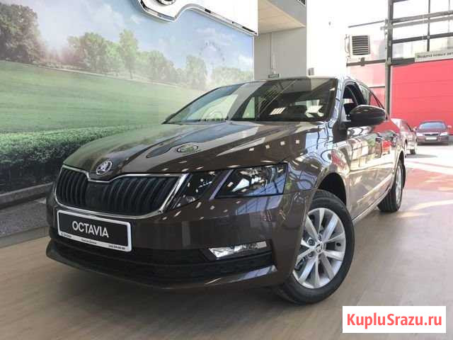 Skoda Octavia 1.6 МТ, 2020 Пермь - изображение 1