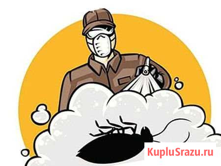 Уничтожение насекомых Ижевск - изображение 1