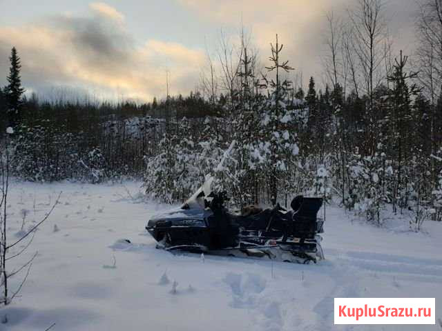 Lynx yeti V 800 Зеленоборский - изображение 1