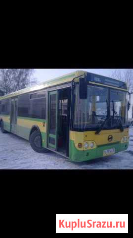 Автобусы Лиаз Тюмень - изображение 1