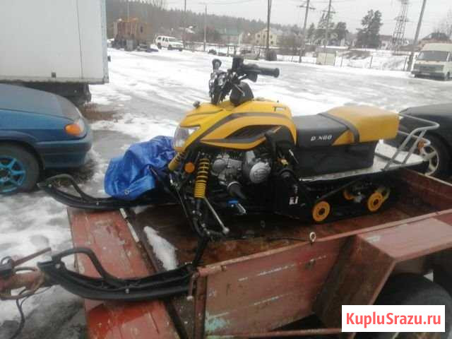 Динго т125 Петрозаводск - изображение 1