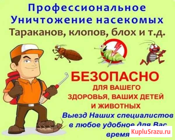 Уничтожение клопов, тараканов, блох, грызунов Фролово - изображение 1