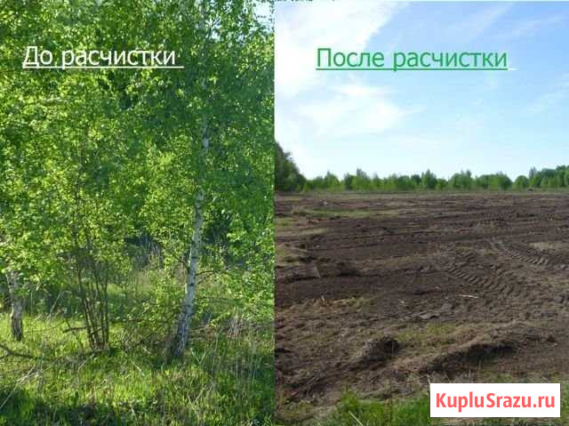 Услуги мульчера, расчистка участков Смоленск - изображение 1