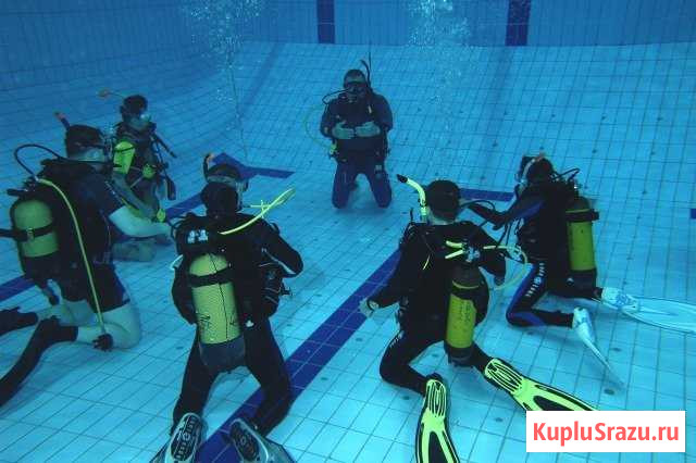 Дайвинг в Крыму Алушта - изображение 1