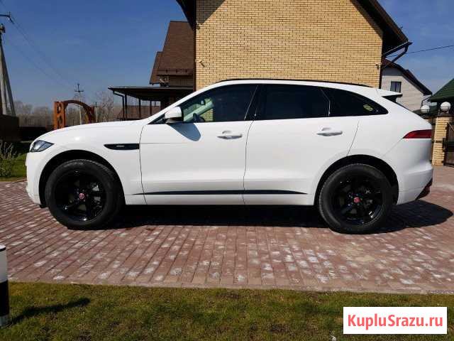 Прокат Jaguar F-Pace в Республике Алтай Горно-Алтайск - изображение 1