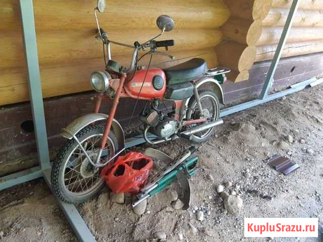 Карпаты спорт Череповец - изображение 1