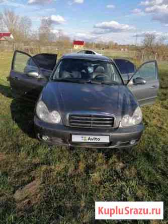 Hyundai Sonata 2.0 МТ, 2005, 225 000 км Рудня