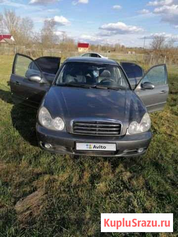 Hyundai Sonata 2.0 МТ, 2005, 225 000 км Рудня - изображение 1