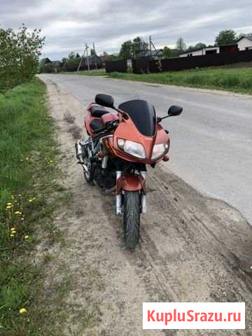 Suzuki SV650S Александров - изображение 1