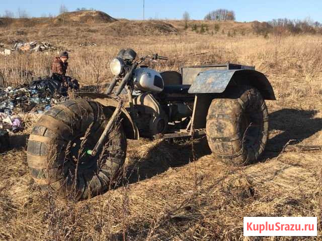 Продам каракат Грязовец - изображение 1