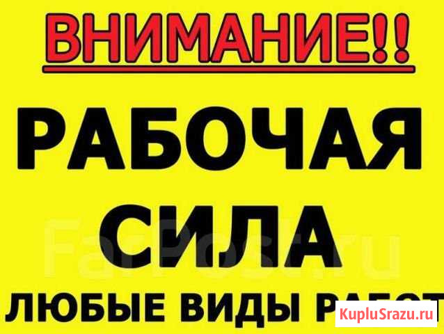 Разнорабочие И мастера Троицк - изображение 1