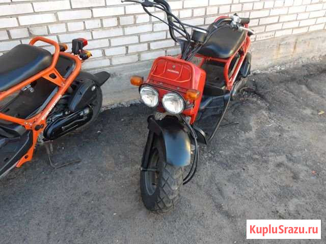 Honda Zoomer 50 Хонда Зумер Rucus мопед скутер Петергоф - изображение 1