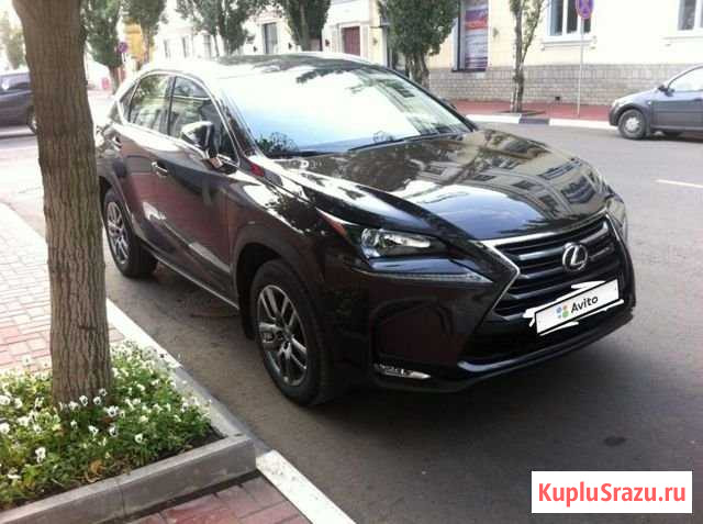 Lexus NX 2.0 CVT, 2015, 46 000 км Тамбов - изображение 1