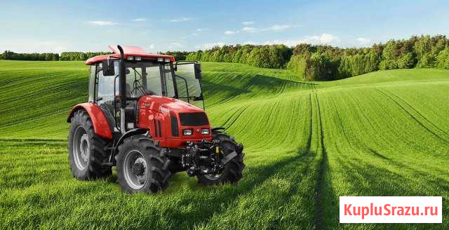 Вспашка,культивация Тайцы - изображение 1