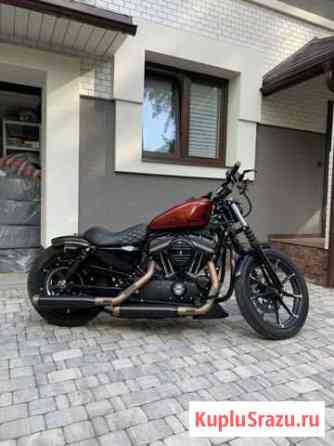 Harley-Davidson 883 sportster Сестрорецк