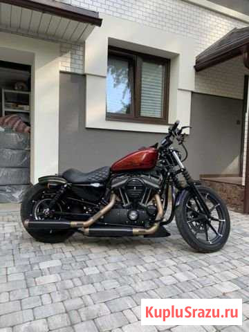 Harley-Davidson 883 sportster Сестрорецк - изображение 1